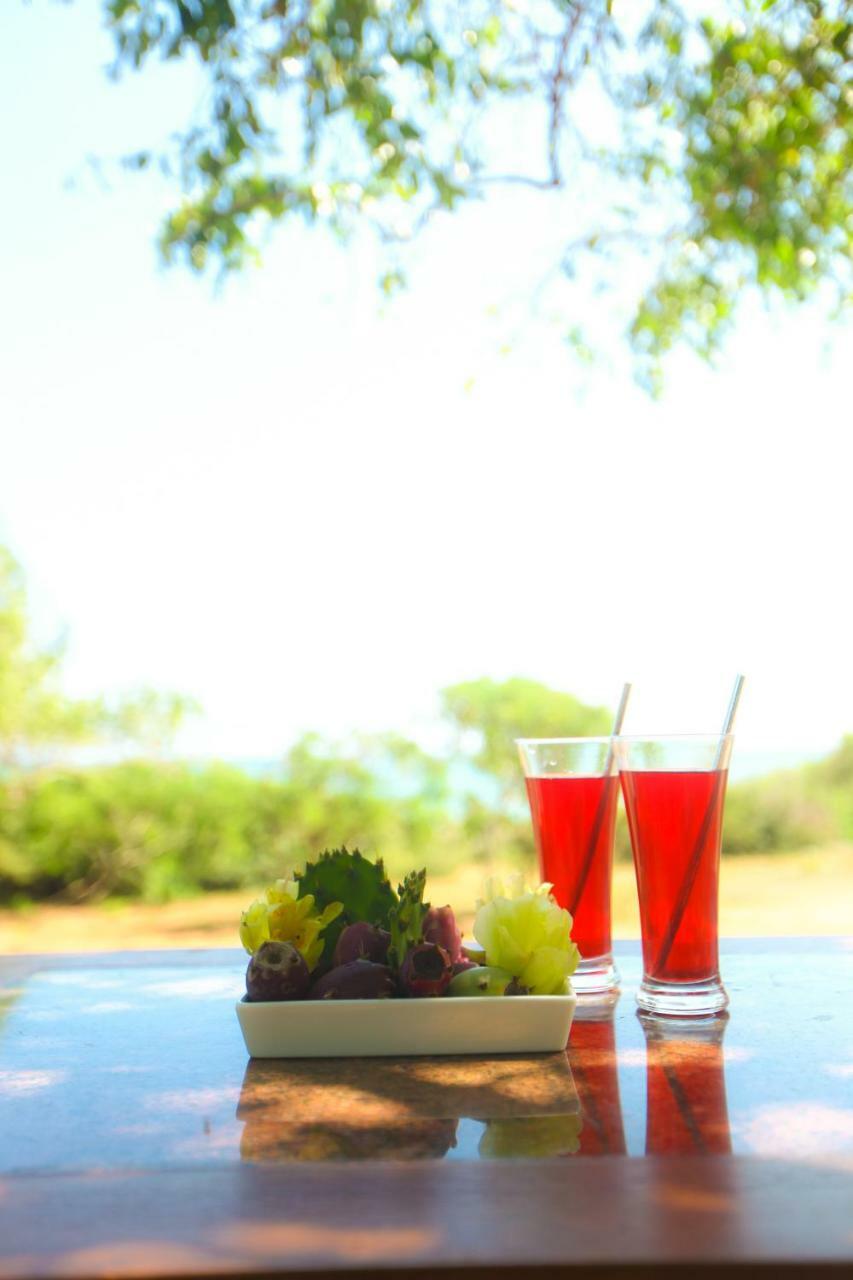 Nil Sisila Beach Resort Parque nacional Yala Exterior foto